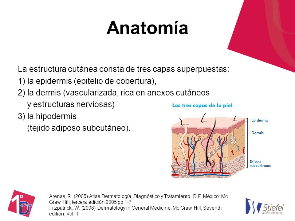 Atlas De Dermatologia Roberto Arenas Ebook